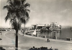 Képeslap: Olaszország, Bari. Pálmafa.