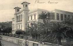 Képeslap: Olaszország, San Remo. Pálmafa.