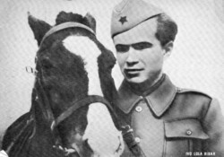 Képeslap: Ló, lovak. Orosz katona.