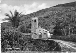 Képeslap: Olaszország, Bosa. Pálmafa.