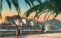 Képeslap: Olaszország. Pálmafa.