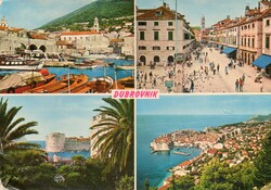 Képeslap: Horvátország, Dubrovnik. Pálmafa.