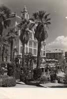 Képeslap: Horvátország, Opátija. Pálmafa.