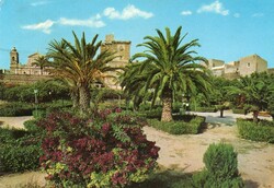 Képeslap: Olaszország, Menfi. Pálmafa.