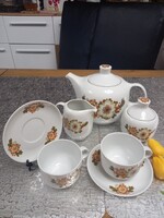 Beautiful Icu patterned Hungarian porcelain tea set for 2 people