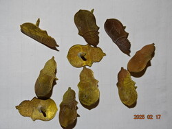 MAGYAR KORONÁS CÍMERES PAJZSOS RÉZ ZÁSZLÓ SZEG JELVÉNY 10 DB !!