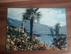 Régi képeslap, Svájc, Ronco Ascona, Lago Maggiore, Pálmafa