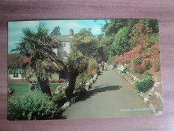 Régi képeslap, Portugália, Madeira, Pálmafa, postatiszta