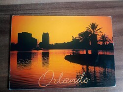 Régi képeslap, Amerika, Florida, Orlando, Pálmafa