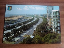 Régi képeslap, Spanyolország, Salou, Pálmafa,
