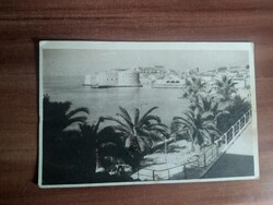 Régi képeslap,Horvátország, Dubrovnik, pálmafa, 1951