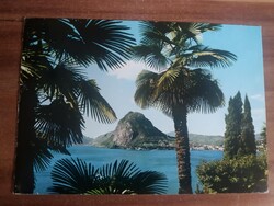 Régi képeslap, Svájc, Lugano, Pálmafa