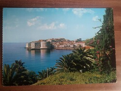 Régi képeslap,Horvátország, Dubrovnik, pálmafa, postatiszta