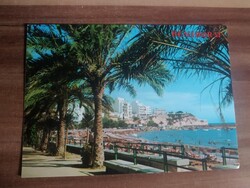 Régi képeslap, Spanyolország, Benidorm, Alicante tengerpart, Pálmafa, postatiszta