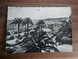 Régi képeslap, Franciaország, Nizza, pálmafa, 1957