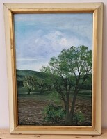 Turcsán Miklós festménye