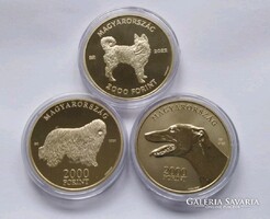 Komondor/Agár/Mudi próbaveret Trió/UNC RRR !!!