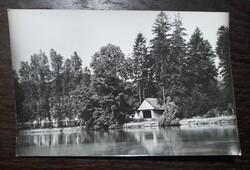 1981 Zirc-Arborétum Fotó-Béres Ferencné postatiszta