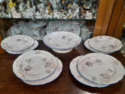 Alt wien pirkenhammer 1873-1918, hand-painted flower pattern porcelain cake set for 8 people.