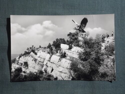 Képeslap,Tatabánya,Turul szobor látkép,részlet, 1961-