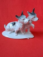 Német Lippelsdorfi (GDR) skót terrier páros porcelán kutya figura
