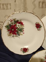 MZ Karlsbacher – Mikulásvirágos Porcelán Desszertes Tányér Készlet (6 db)