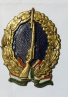 Letartóztatási Intézet Sapka jelvénye 1948. Tildy RRR!!! BV. elődje