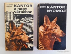 Kántor a nagy-városban , Kántor nyomoz