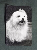 Kártyanaptár,trafik,vidámpark horgász játék,állatok,Bichon kutya,1977