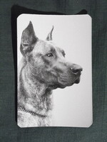 Kártyanaptár,trafik,vidámpark horgász játék,állatok,dog kutya,1977