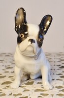Gebrüder Heubach porcelán francia bulldog figura – Jelzett, hibátlan állapotú antik gyűjtői ritkaság