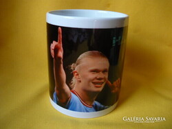 ERLING HAALAND BÖGRE