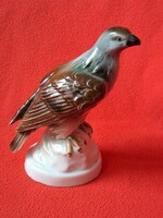 Szép festésű, régi német Foreign sas / sólyom porcelán figura