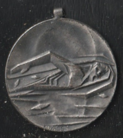 Úszó ezüst érme ( ezüst hatású )