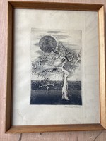 Ábrahám Rafael  - Kiszáradt Fák rézkarca , üvegezett kertben .