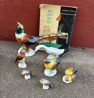 Gyönyörű Bodrogkeresztúri Aquincumi  porcelán madarak madár, nipp, figura. Nosztalgia darab