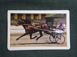 Kártyanaptár,Magyar lóverseny vállalat,galopp,ügető, Budapest,1980, (1)