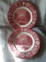 Angol fajansz lapos tányér /Palissy Pottery/