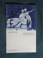 Képeslap,Románia,Lenauheim,Csatád,Radnai Béla szobrász,Lenau szobor,1930- ,60-