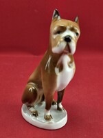 Zsolnay boxer kutya