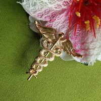 Kitűző, Bross BRO260 - Caduceus avagy Hermész botja
