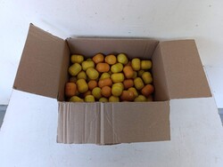 Kinder figura 100 darab tojás benne a játék és eredeti papír A1