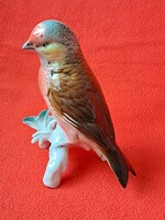 Szép festésű, Karl Ens / Volkstedt faágon ülő énekesmadár porcelán figura