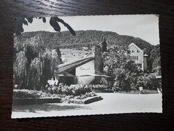 1967 Badacsony-Poharazó Fotó-Tulok Ferenc