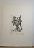 Balla Margit- Madragóra