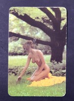 Női akt erotikus kártyanaptár 1986