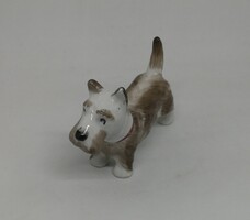 Aquincum porcelán Fox terrier kutya!