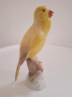 Herendi Kanári Papagáj Porcelánfigura