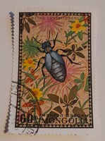 1972-es Bogarak