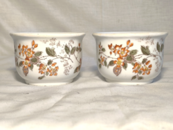 Komacsésze, komabögre